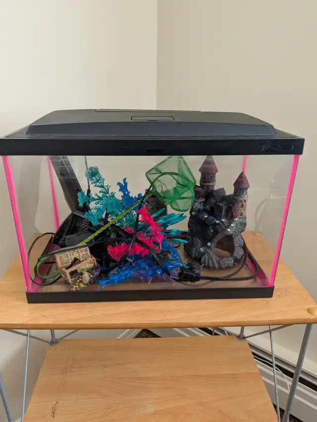 Fish tank (5 gallon) $10