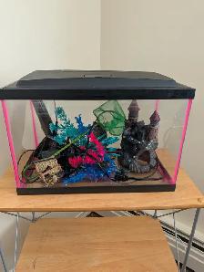 Fish tank (5 gallon) $10