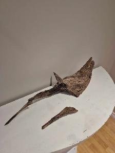 25' long Driftwood - nonpathenogenic - Photo 2