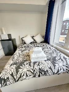 Daily nightly weekly room for rent Keele Wilson Downsview Park - Photo 10