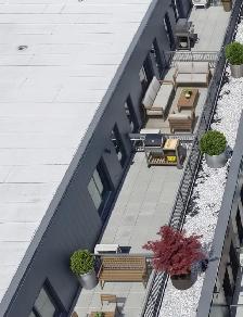 LE FLEURI - Condos locatifs neufs à Ahuntsic - Photo 2