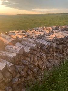Dry Tamarack Firewood/ Free Delivery