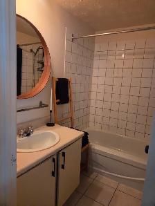 3 1/2 / VIEUX ST-JEAN/ REZ-DE-CHAUSSÉE/DUPLEX - Photo 8