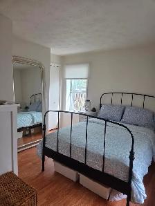 3 1/2 / VIEUX ST-JEAN/ REZ-DE-CHAUSSÉE/DUPLEX - Photo 9