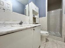 EXCELLENT LOCATION -SPACIOUS HIGH CEILING 3 BEDROOM BASEMENT FOR - Photo 8