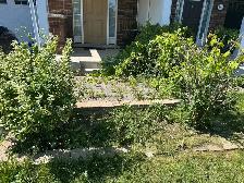 weed removal/grass cutting/ installation grass
