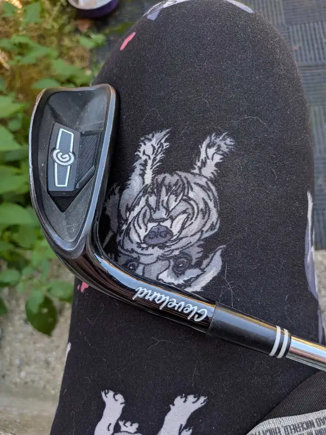 Cleveland Smart Sole C Wedge LH
