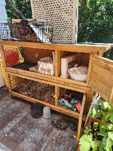 cage à lapin ou poulailler 70$ négociable - Photo 2