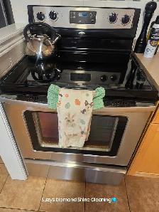 Suzys Diamond Shine Cleaning