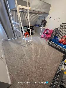 Suzys Diamond Shine Cleaning - Photo 9