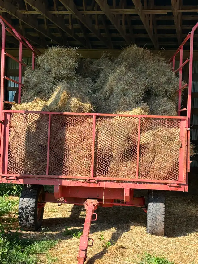 FIRST CUT HAY FOR SALE!