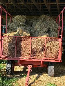 FIRST CUT HAY FOR SALE!