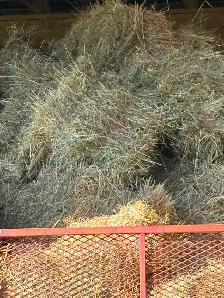 FIRST CUT HAY FOR SALE! - Photo 2