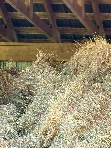 FIRST CUT HAY FOR SALE! - Photo 3