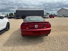 2007 Ford Mustang - Photo 3