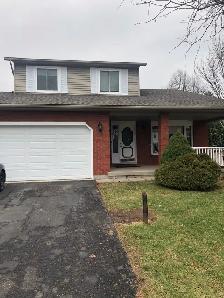 Basement room - $675 - St.Catharines - Photo 5