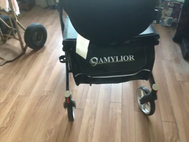 Amylior Walker