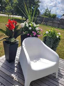 Private Bedroom  – Female Only (Available Sept 1st) - Photo 8