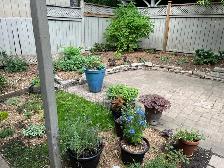 House for rent - 4BR Bloor West Village / Baby Point - Photo 10