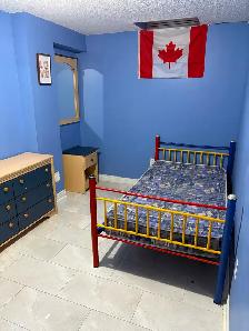 Fully Furnished 2-Bedroom Basement Apartment for Rent - Photo 3