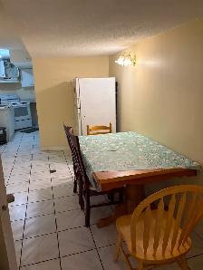 Fully Furnished 2-Bedroom Basement Apartment for Rent - Photo 4