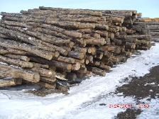 FIREWOOD - SEASONED JACKPINE - 1/2CD - SPLIT AND DELIVERED - Photo 5