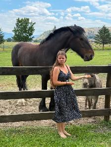 4 year old clydesdale/ percheron cross mare - Photo 2