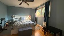 And a Great Landlord. - Photo 10