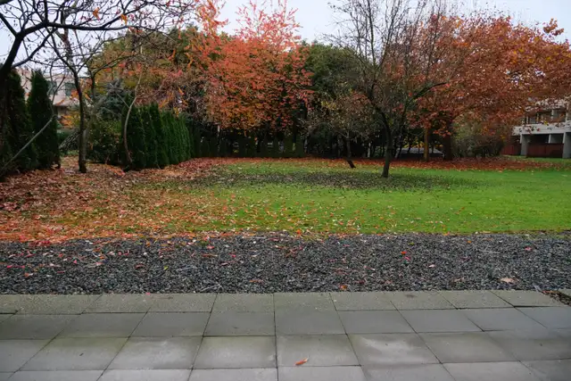 1 Bedroom Apartment Next to Seawall