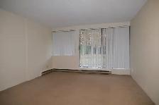 1 Bedroom Apartment Next to Seawall - Photo 3