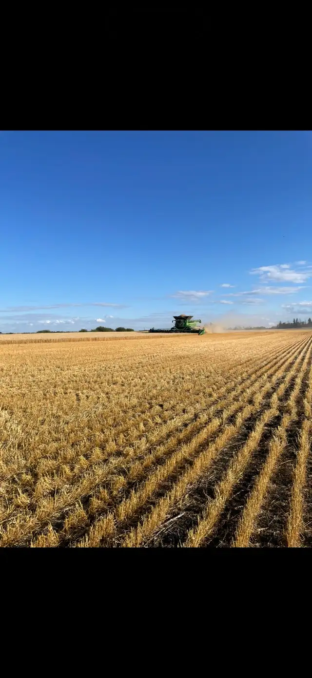 Grain cart operator
