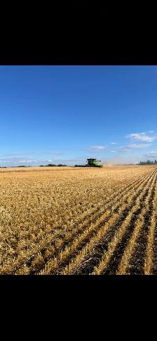 Grain cart operator