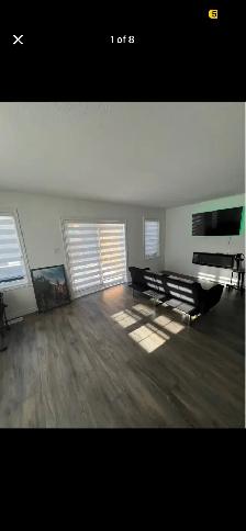 Private Room for Rent - Photo 6