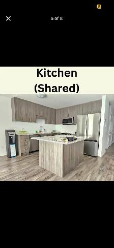 Private Room for Rent - Photo 8