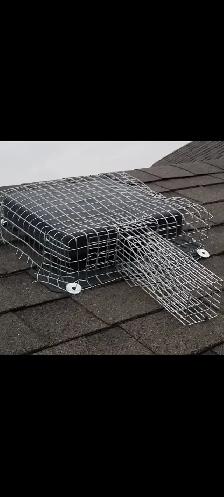 ALL KIND PEST CALL 647 404 2562 PEOPLES PEST AND ANIMAL CONTROL - Photo 5