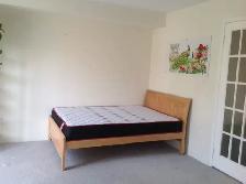 Big York Village Room for rent York University Available Oct - Photo 2