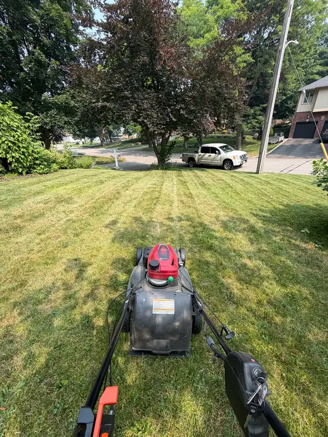 lawn care and cleanups