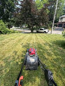 lawn care and cleanups