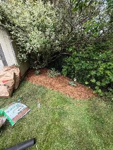 lawn care and cleanups - Photo 3