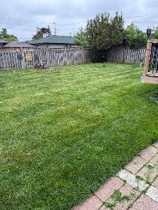 lawn care and cleanups - Photo 4