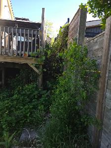 lawn care and cleanups - Photo 9
