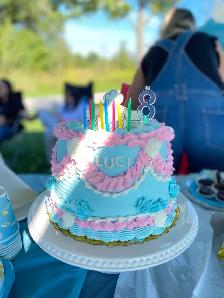Cinnamon birthday Cakes , Sanrio Hello Kitty Cake - Photo 2