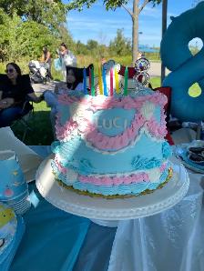 Cinnamon birthday Cakes , Sanrio Hello Kitty Cake - Photo 5
