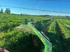 Farm Land 2027 - Photo 2
