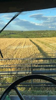 Farm Land 2027 - Photo 3