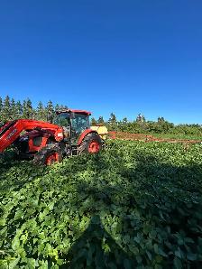 Farm Land 2027 - Photo 4