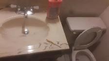 1 Bedroom basement Walkout Apartment Toronto, utilities included - Photo 6