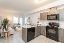 1 Bedroom Apartment - $699 Security Deposit Promo - Photo 3