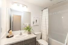 1 Bedroom Apartment - $699 Security Deposit Promo - Photo 13