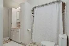 Yonge/Sheppard Subway Station, Steps Away, Available Sep/Oct, - Photo 5